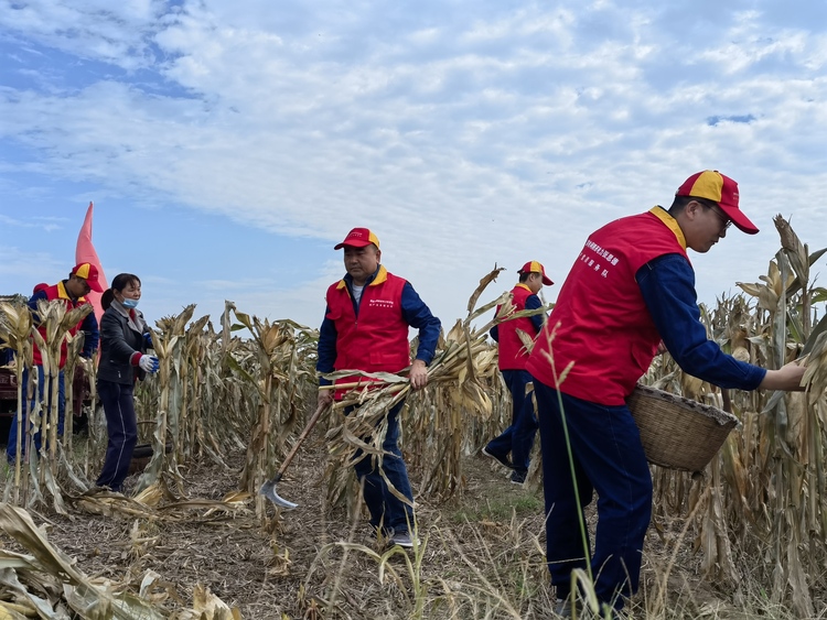 国网西咸新区供电公司:红马甲深入田间 用温情点亮党建品牌_fororder_WechatIMG73