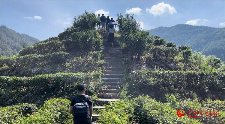 “我和我的新时代”乡村振兴调研行农业篇 厚植农业产业发展沃土 把“好丰景”印在农民的笑脸上