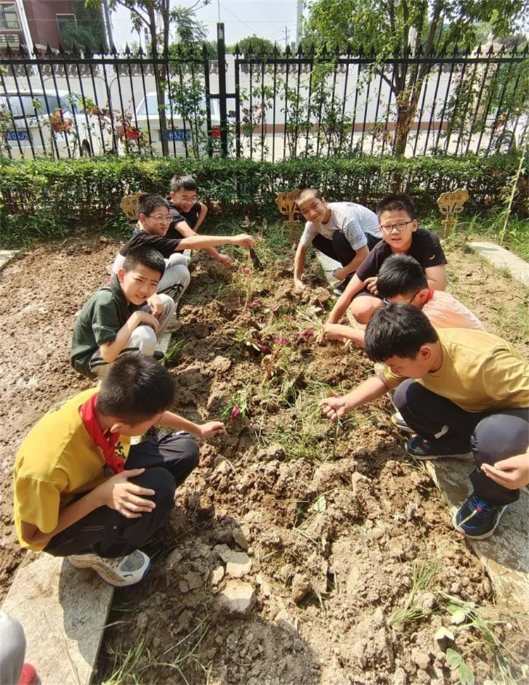 西安经开第六小学:开展秋种活动 播撒希望种子_fororder_2