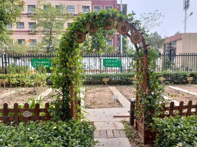 西安经开第六小学:开展秋种活动 播撒希望种子_fororder_1