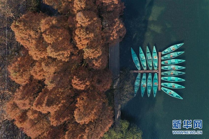 Pemandangan Musim Gugur dan Dingin Danau Xihu_fororder_西湖2020081021