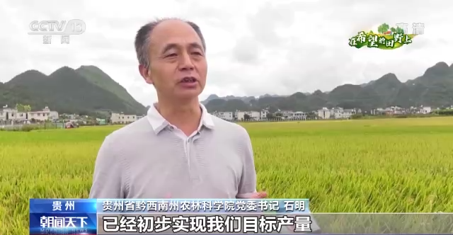 在希望的田野上丨主产区秋粮收获有序推进插图1 在希望的田野上丨主产区秋粮收获有序推进-ManBetX注册登录·(中国)