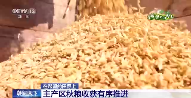 在希望的田野上丨主产区秋粮收获有序推进-ManBetX注册登录·(中国)