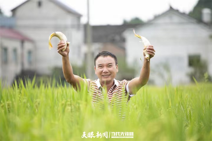 农业产业化助农增收 ——贵州省农业丰收“三重奏”系列报道
