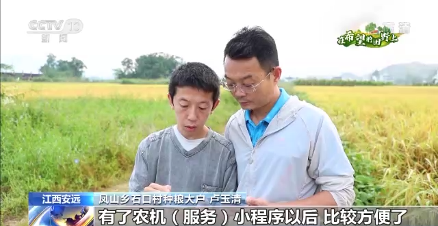 在希望的田野上丨主产区秋粮收获有序推进插图4 在希望的田野上丨主产区秋粮收获有序推进-ManBetX注册登录·(中国)