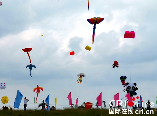 贵州兴仁：露营风筝赛各式风筝天空争奇斗艳