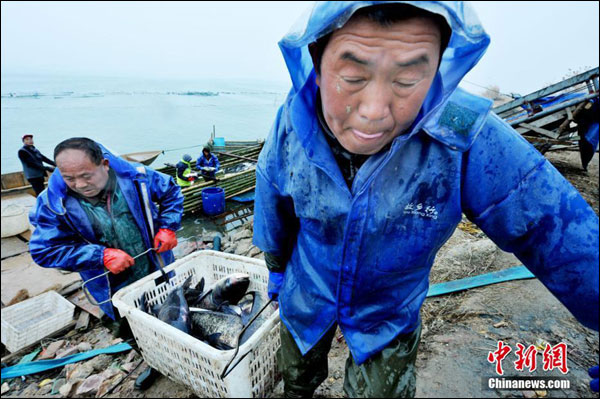 ชาวประมงเปรมปรีดิ์รับตรุษจีนได้ปลาทะเลสาบโผหยางหูเต็มลำ