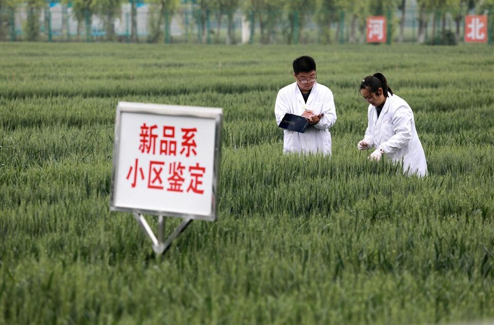 镜观中国｜科技赋能中国农民的丰收年