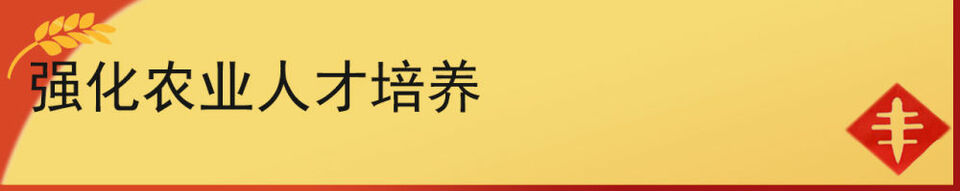镜观中国｜科技赋能中国农民的丰收年