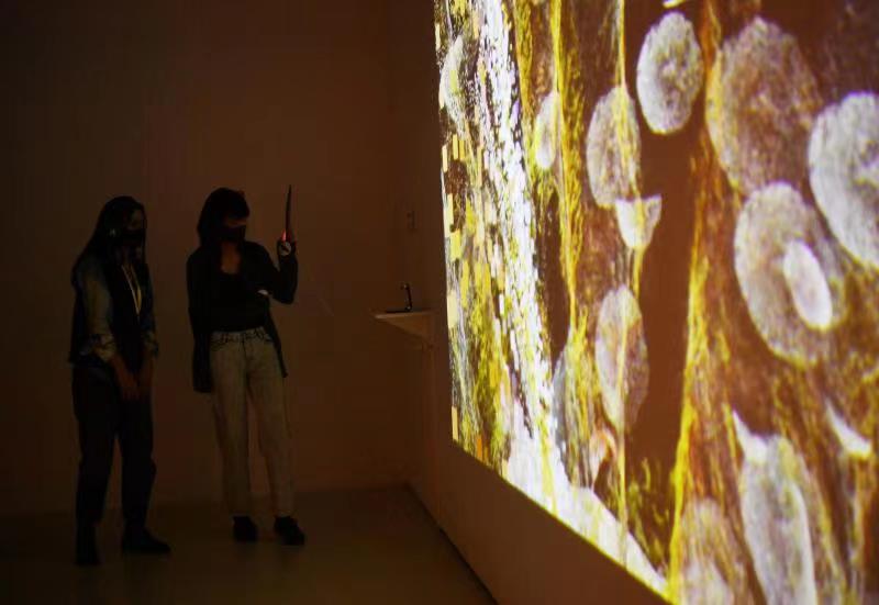 2022亚洲数字艺术展面向公众开放 首次推出展览专属数字文创门票 2022亚洲数字艺术展面向公众开放 首次推出展览专属数字文创门票