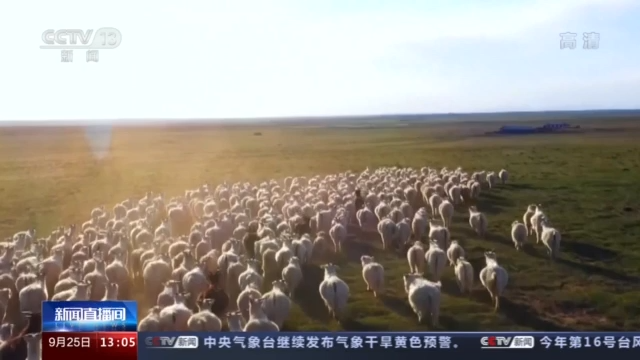 五彩之秋好“丰”景 地理标志农产品喜获丰收