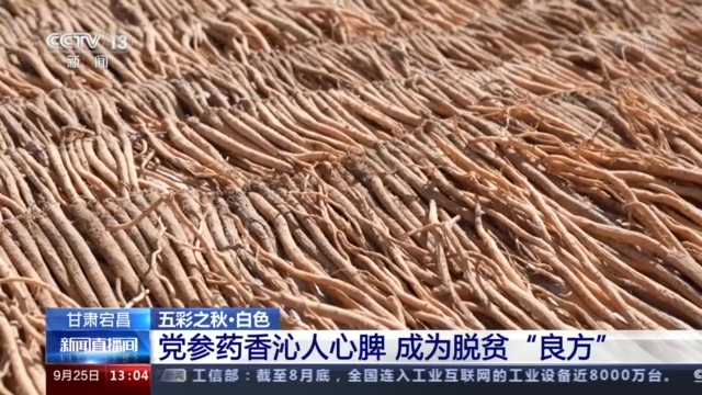 五彩之秋好“丰”景 地理标志农产品喜获丰收