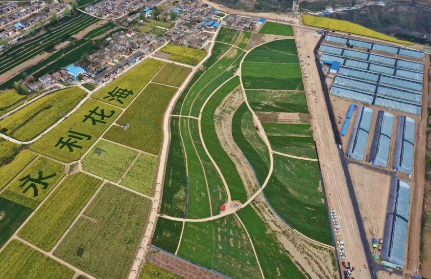 宝鸡金台:一核心四聚焦打造“四美”红旗村_fororder_图片1