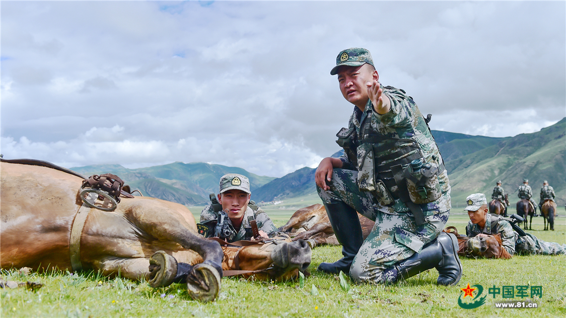 「中国军网」雪山之巅，这里的骑兵仍然在冲锋
