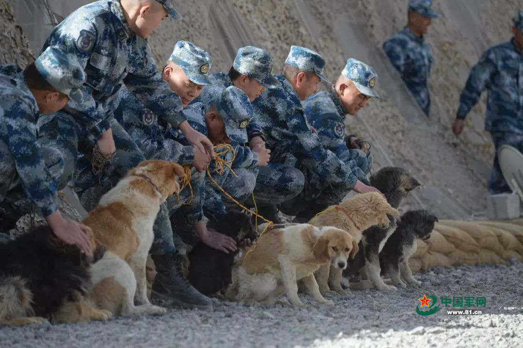 「中国军网」高原雷达兵的故事 又一次让人泪崩了