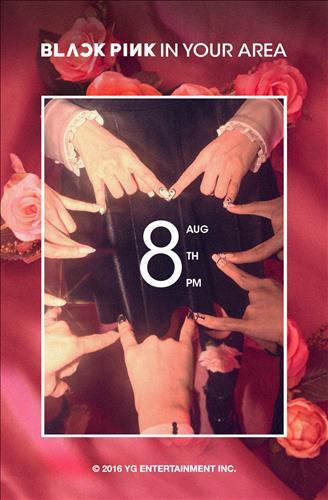 YG全新女团BLACK PINK8月8日出道