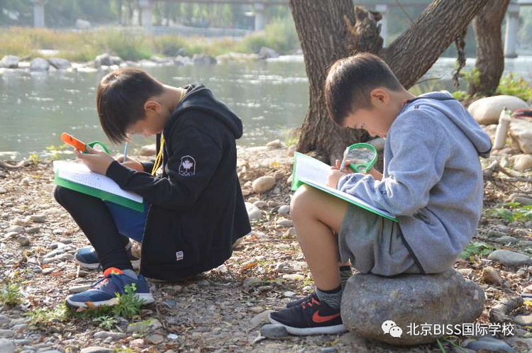 BISS Kindergarten | 冬奥村旁的“新式”幼儿园 BISS Kindergarten | 冬奥村旁的“新式”幼儿园_fororder_6