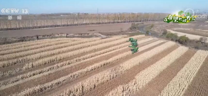 在希望的田野上 | 吉林公主岭玉米大豆迎丰收 预计10月底收割完毕