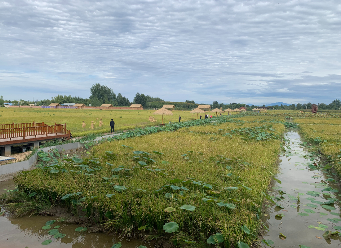 西安市高新区、鄠邑区:年年有“渔”,让群众生活年年有余_fororder_IMG_3106