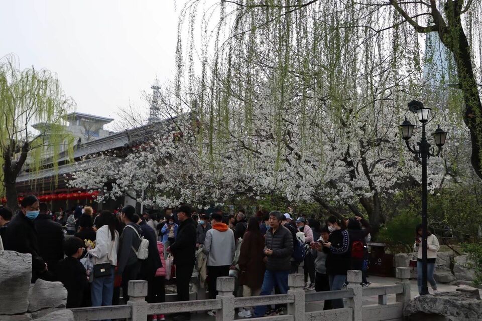 美景山东|五龙潭公园:水不在深,有龙则灵