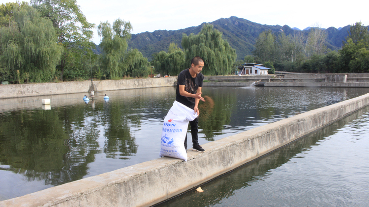 西安市高新区、鄠邑区:年年有“渔”,让群众生活年年有余_fororder_IMG_4005