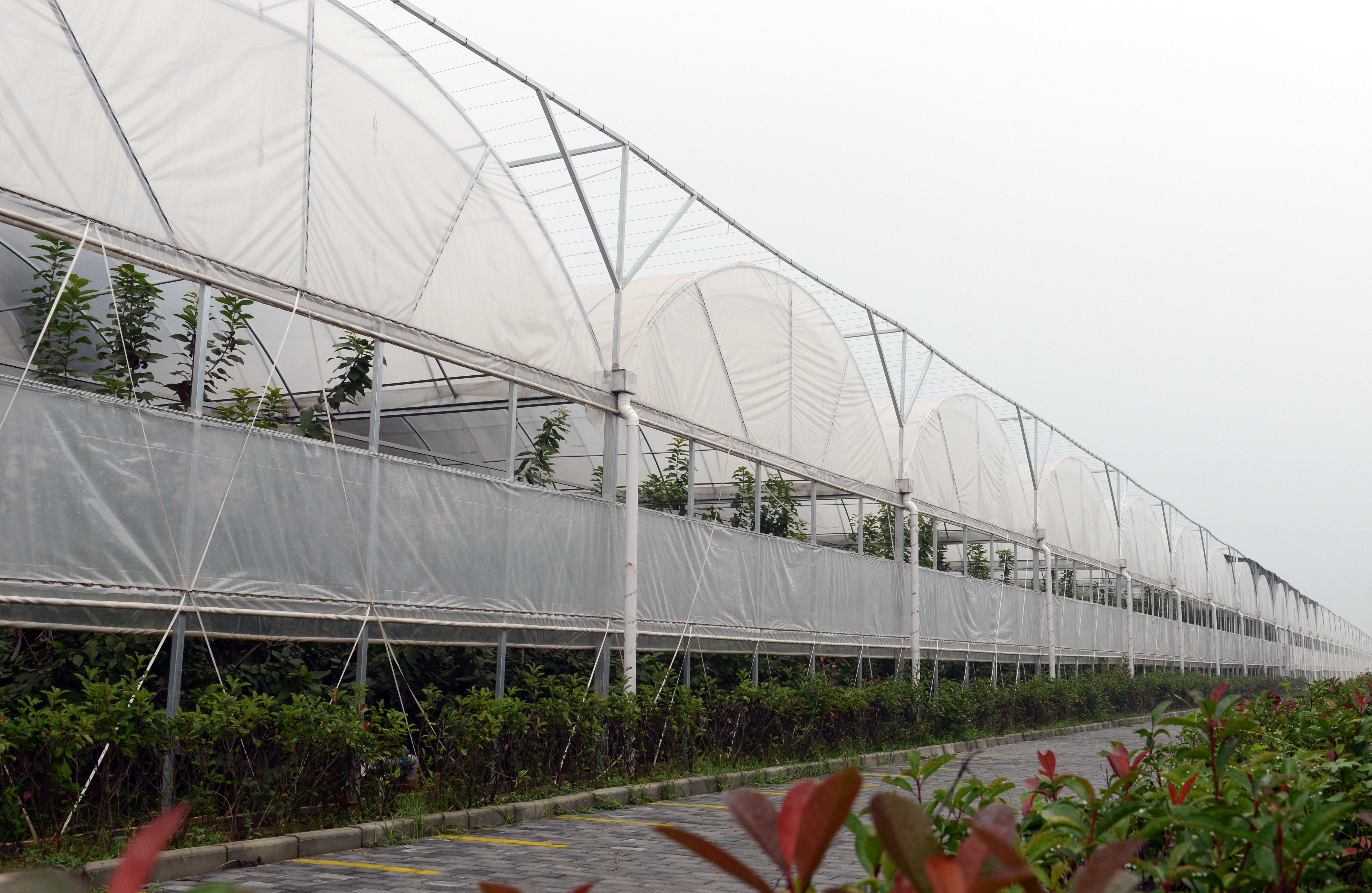 奋进新征程 建功新时代 | 渭南华州:建设美丽城镇 共创美好生活_fororder_DSC_1870.JPG