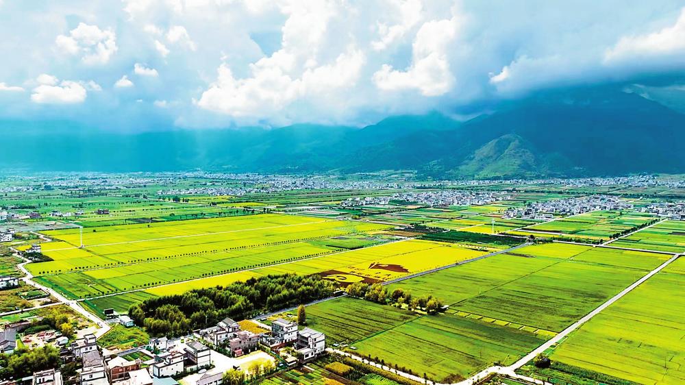 云南农垦:在市场中熔炼“绿色云品”靓丽名片_fororder_193