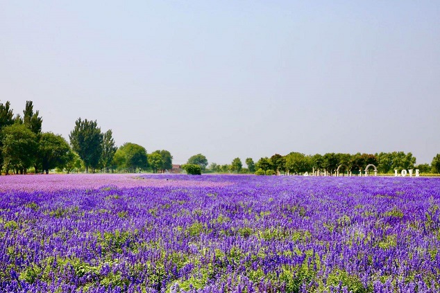 2020 베이징시 풍대구 문화 및 관광소비 여름시즌 행사 개막 2020 베이징시 풍대구 문화 및 관광소비 여름시즌 행사 개막_fororder_2