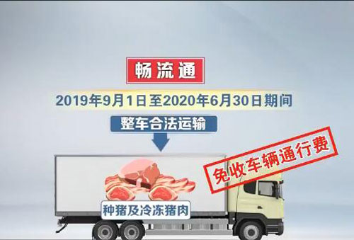 「央视网」新闻观察：政策“组合拳”助力生猪保供稳价