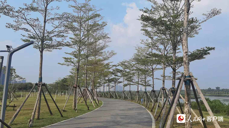 【美丽中国 网络媒体生态行】保护生态资源 润泽“珠城”北海