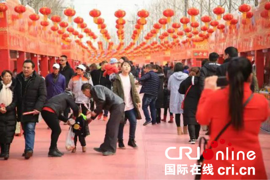 【西安年 最中国】西咸新区春节期间 举办201