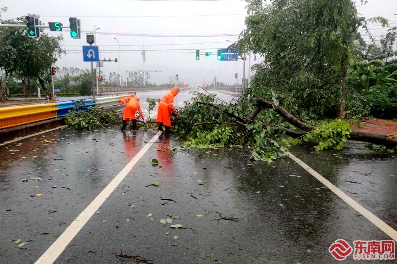 漳州多地受灾 各地积极行动及时巡查处置