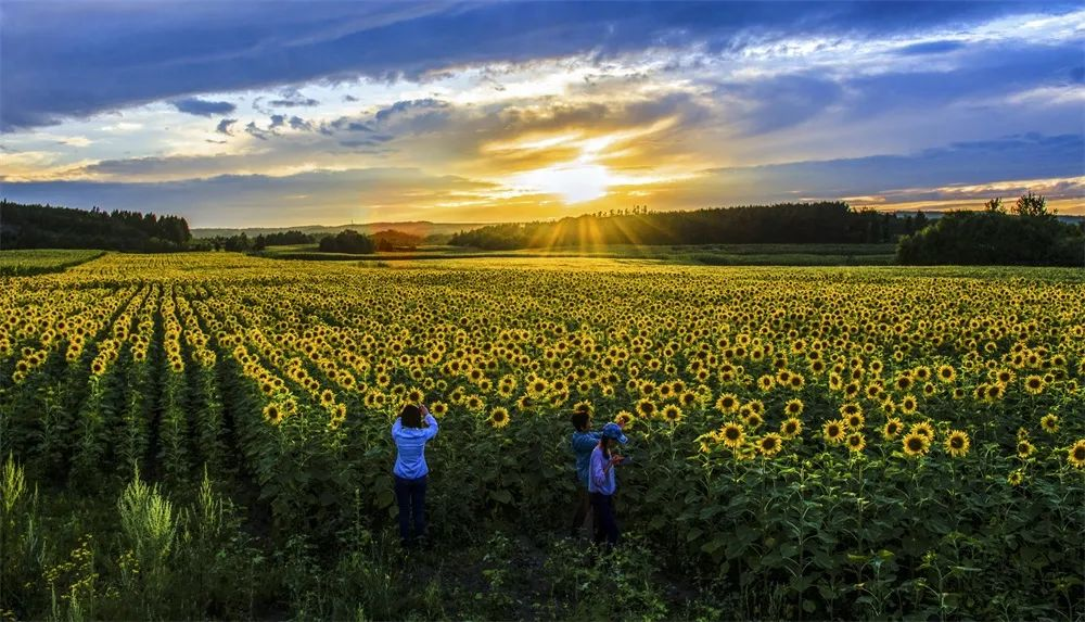 透过“影展”看黑龙江沿边壮美山河(三)_fororder_图片49