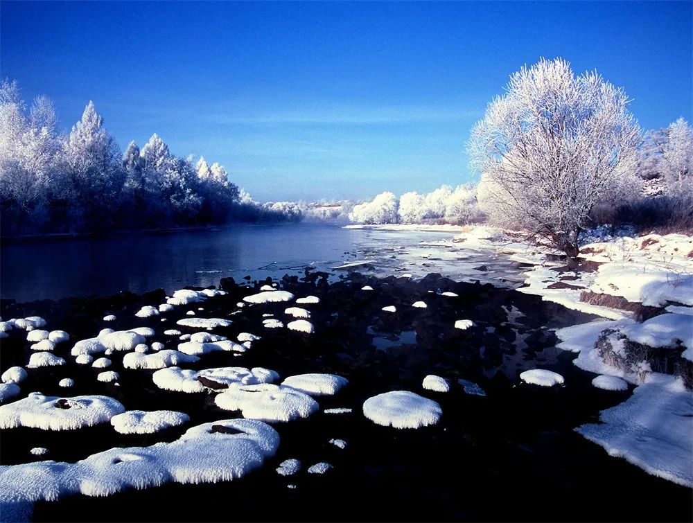 透过“影展”看黑龙江沿边壮美山河(三)_fororder_图片51