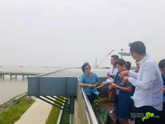 南方新闻网：东南亚记者眼中的粤港澳大湾区：联通 活力 多元 共