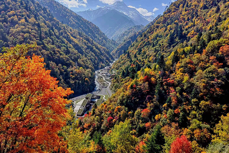 2022年四川红叶生态旅游节主会场暨黑水县第十届冰川彩林生态文化旅游季正式启幕_fororder_黑水彩林-供图-黑水县委宣传部-(1)