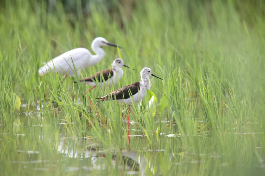 昆明官渡:“我们的新时代”摄影征集活动获奖作品_fororder_3