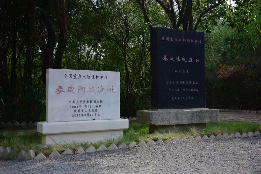 王海侠:我每天都在面对一段鲜活的历史_fororder_ba1ca2efbfa292bf92249fc8e9aed302