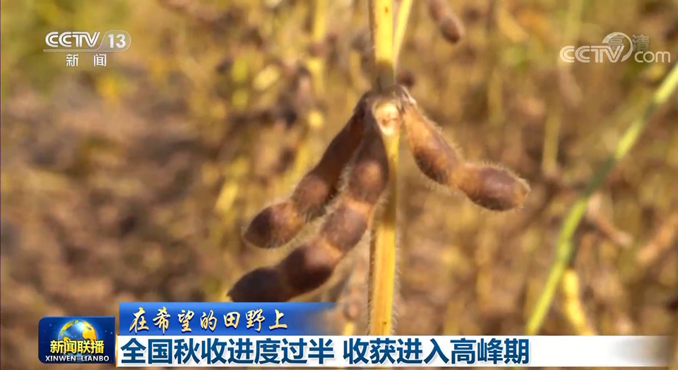 tp钱包eos地址-tp钱包官网首页 | 多链数字货币管理平台【安卓下载】-