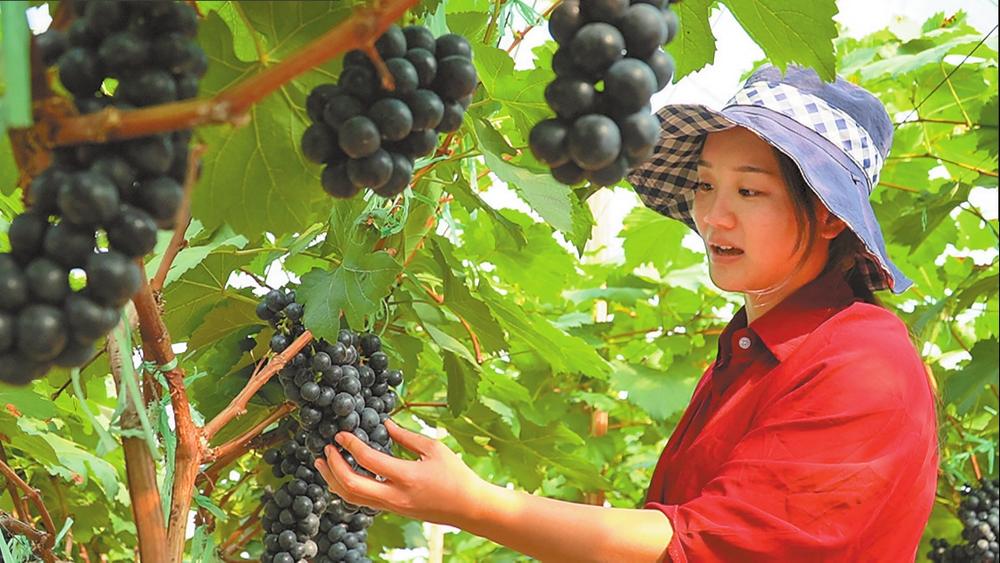 红河建水:端手艺碗吃技术饭_fororder_a0