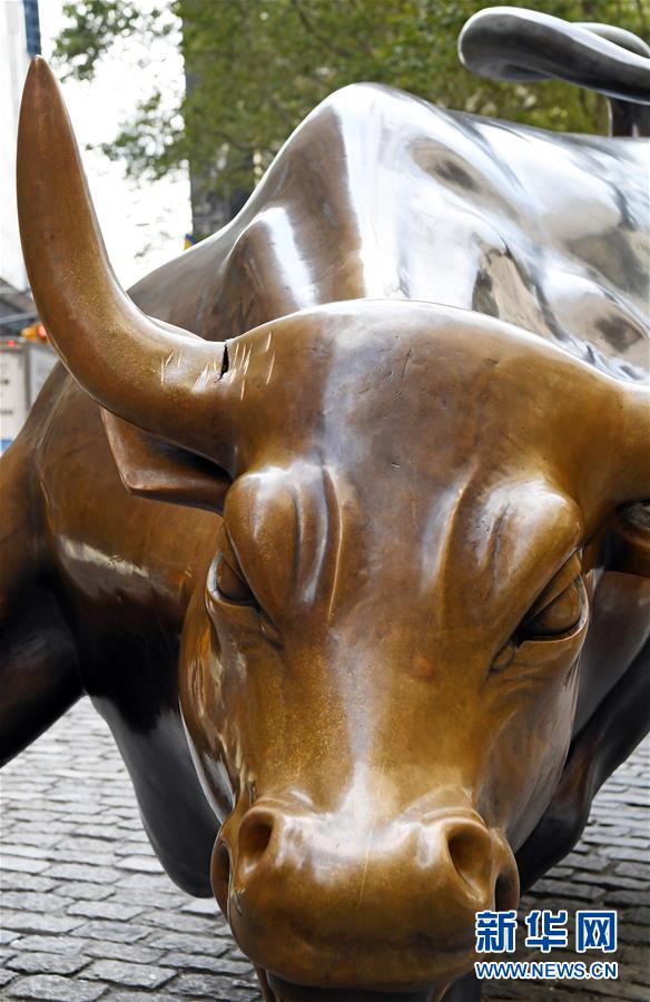 新华网@纽约华尔街铜牛遭人为损坏(组图)