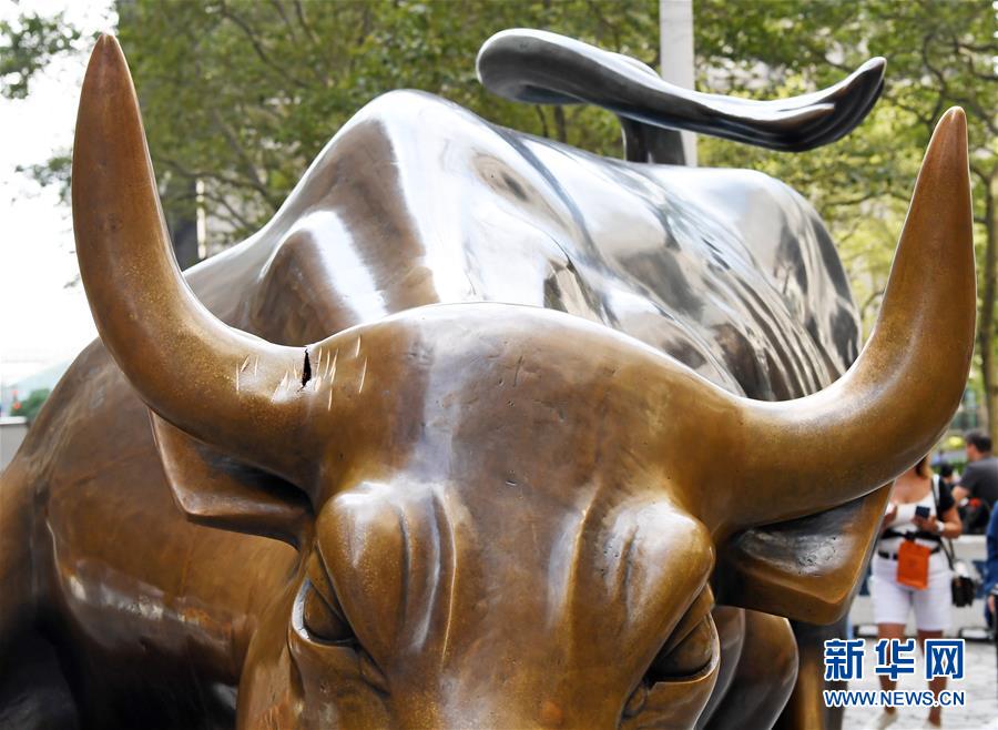 新华网@纽约华尔街铜牛遭人为损坏(组图)