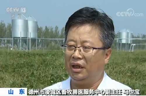 「央视网」猪肉稳产保供措施频出 养殖户信心增强正扩大产能