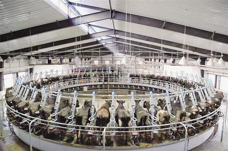 鸡西“迎庆二十大·光影颂华章”主题成就展图说巨变历程