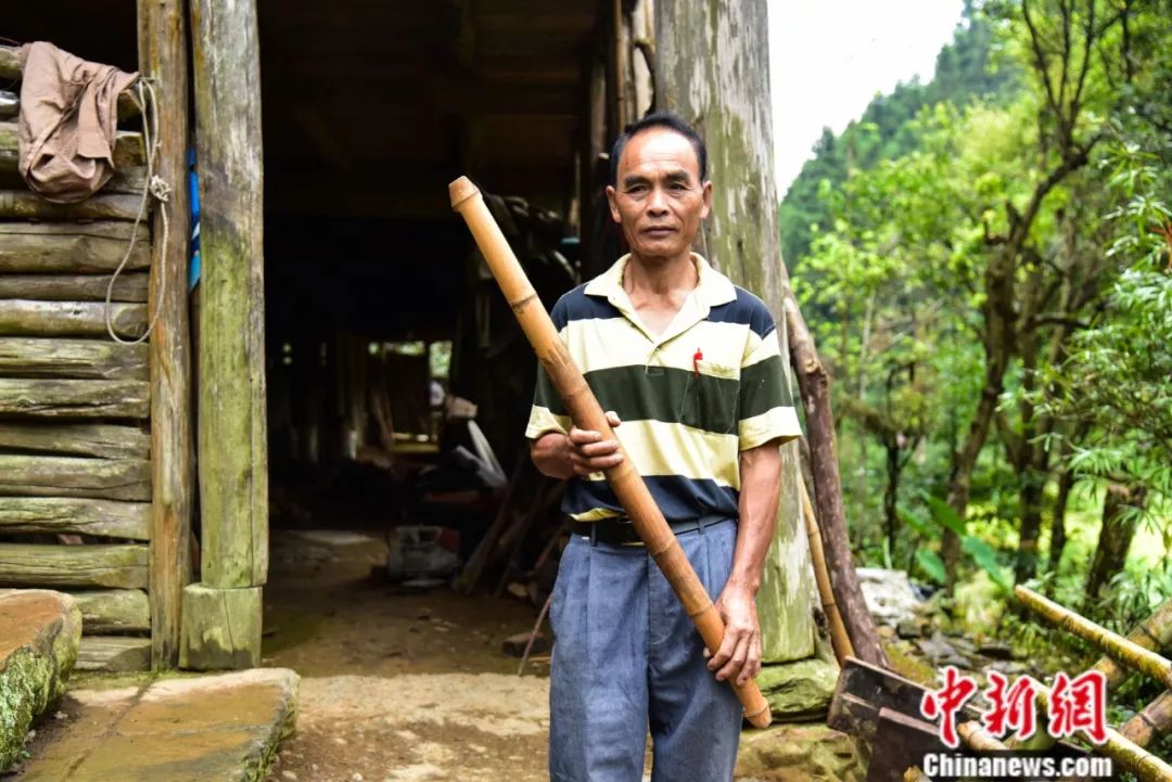 「中新社」杀了自家过年的大猪建教学楼，他用一根扁担撑起一座学