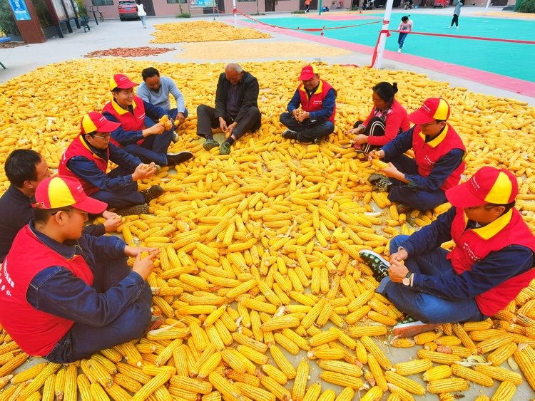 国网西咸新区供电公司:红马甲深入田间 用温情点亮党建品牌_fororder_WechatIMG69