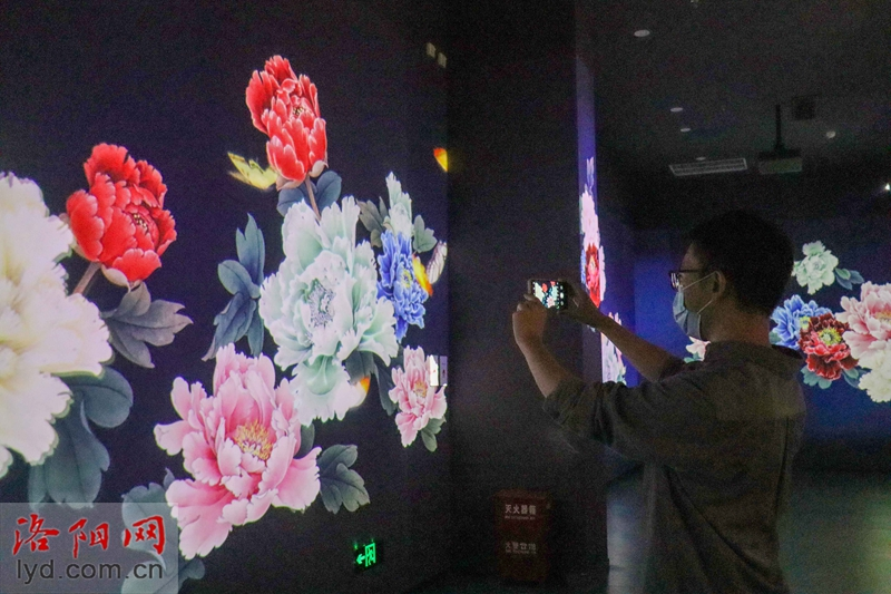 Luoyang's Peony Museum: Journey of Immersive Experiences in a World of Light and Shadow_fororder_图片6