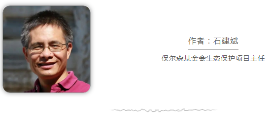 中国是全球湿地保护和合理利用的积极践行者