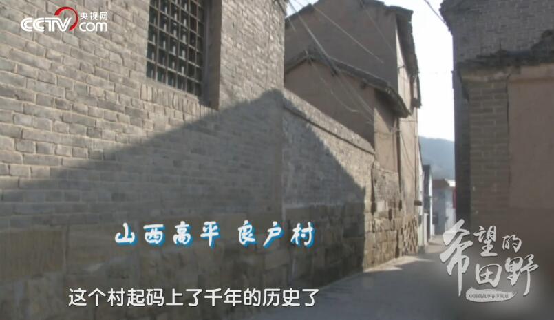 【中国微故事春节策划&#183;希望的田野】太行山有个“活化石”村