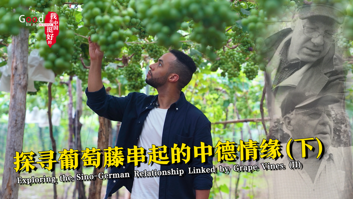 【我在中国挺好的·第二季】探寻葡萄藤串起的中德情缘（下）